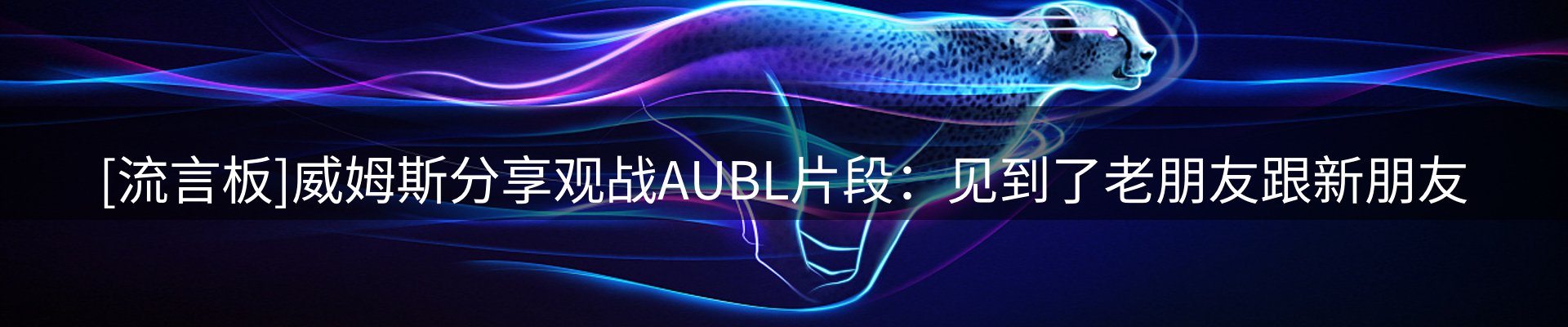 内页banner